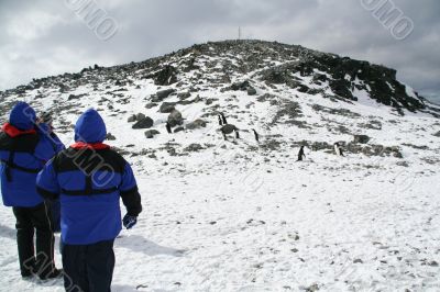 Blue parka tourists climbing a hill