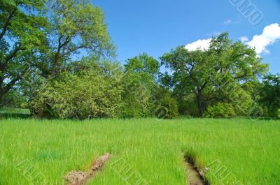 stuck in the mud