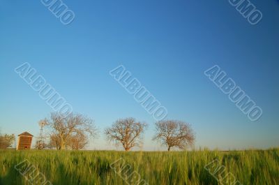 rural countryside