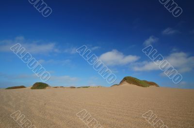 Sand Dune on the beach