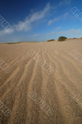 Sand Dune on the beach