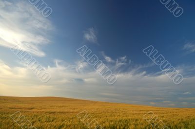 agricultural landscape