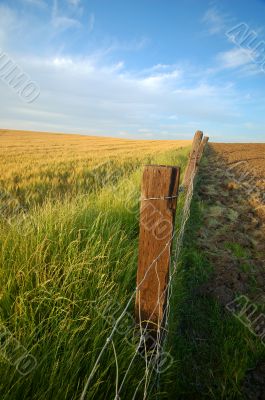 agricultural landscape