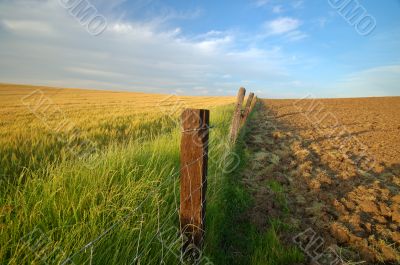 agricultural landscape