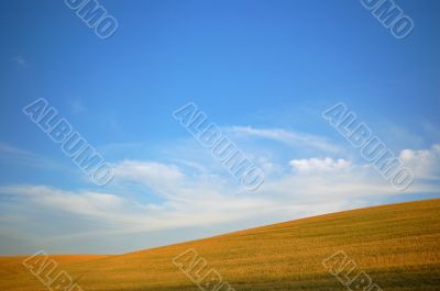 agricultural landscape