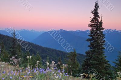 Mountain views Mountain views