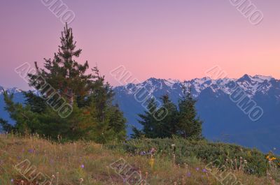 Mountain Meadow Mountain Meadow