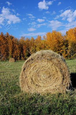 Hay Bale Hay Bale