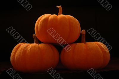 pumpkins