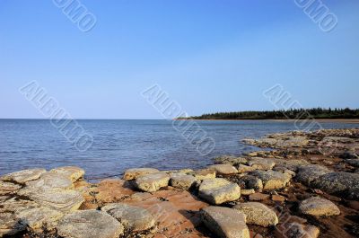 Coastal Beach