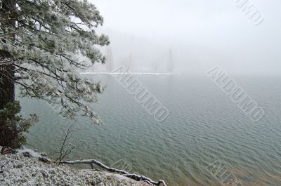 snowy lakeshore