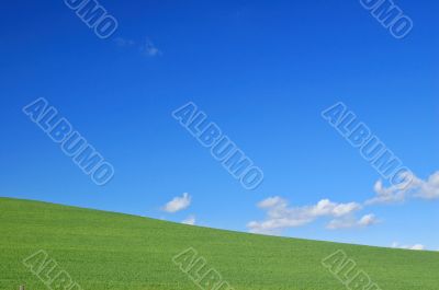 spring field spring field