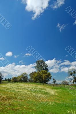 springtime meadow springtime meadow