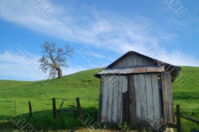 rural countryside