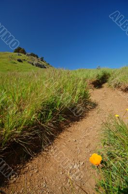 Mt Tamaplais Trail