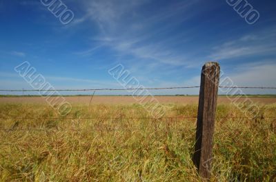 agricultural field