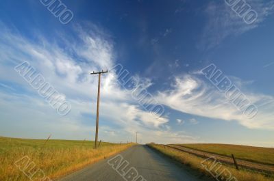 agricultural field