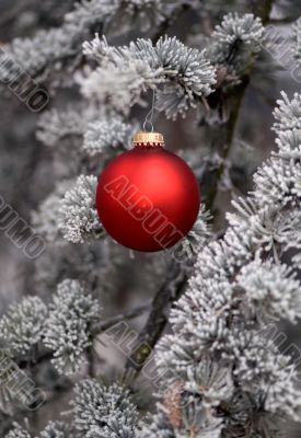 Red Ornament 4 Red Ornament 4