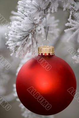 Red Ornament 3 Red Ornament 3
