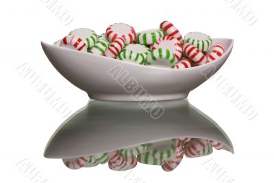 Peppermint and Spearmint