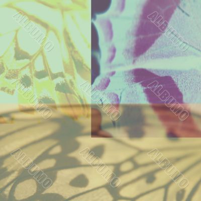 Colorful Fantasy Designs