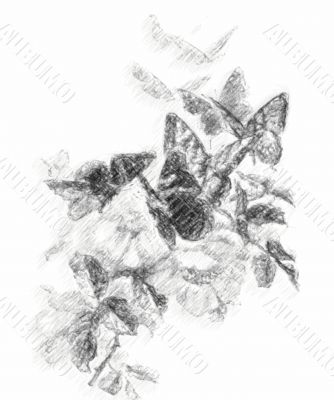 Colorful Fantasy Designs