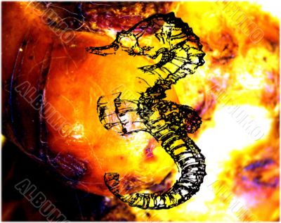 Colorful Fantasy Designs