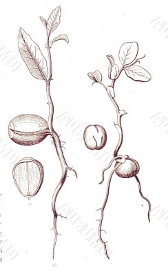 Art Style backgrounds