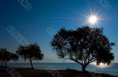 Beach in Blue