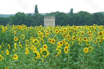 Uzes-Nimes Uzes-Nimes