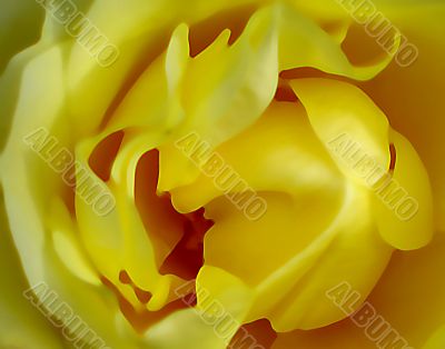 yellow abstract yellow abstract