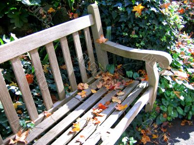 Riverside Bench