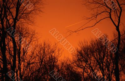 Orange Sky Orange Sky