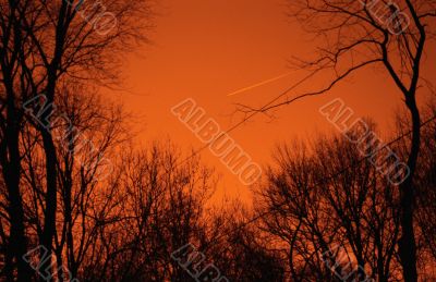 Orange Sky