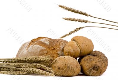 Assorted Breads with wheat isolated