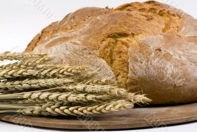 Bread Loaf with wheat on pan 3/4 shot Bread Loaf with wheat on pan 3/4 shot