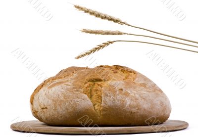 Bread Loaf with wheat isolated 2