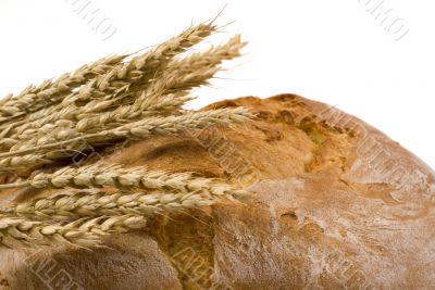 Bread loaf with wheat isolated 3 Bread loaf with wheat isolated 3