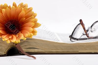 Old book and flower Old book and flower