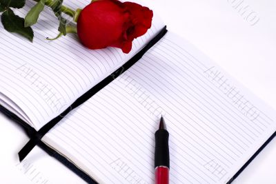 Daily Diary with rose Daily Diary with rose