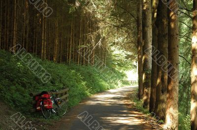 Ciclabile Ciclabile
