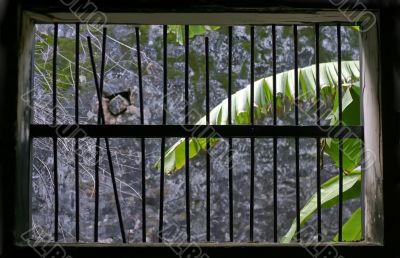 Vietnam window jail