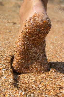 barefoot sole in sand