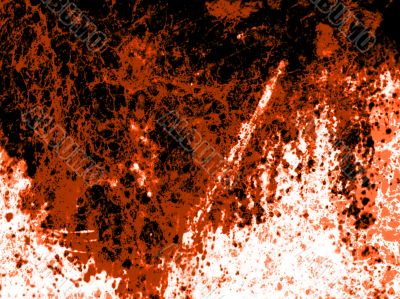 Distressed Black Top Colors