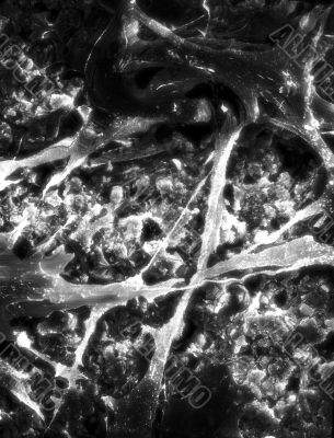 Infrared Xray Design