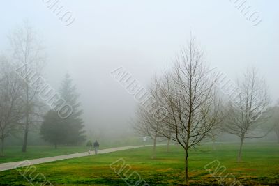 Morning Walk on a Foggy day