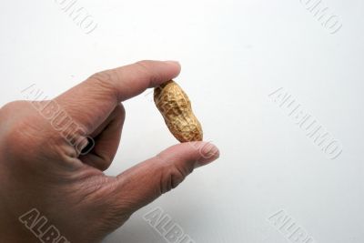 cracking peanuts