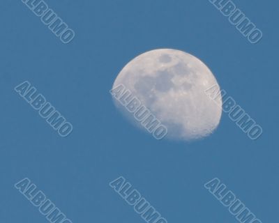 Moon Moon
