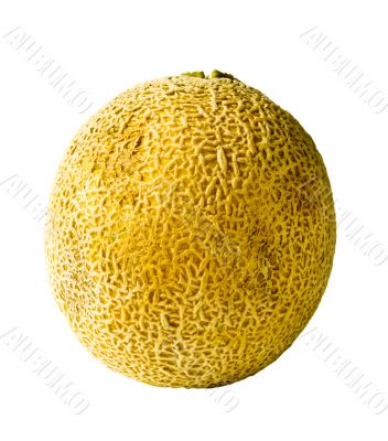 Isolated Whole Cantaloupe