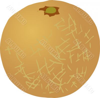 Melon